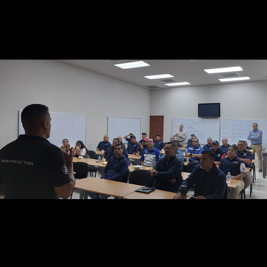 CITELIS Seguridad Privada